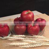 2016 Huaniu Apple Fresh Apple China Gansu Tianshui Huaniu Apple thumbnail-1