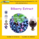 BILBERRY EXTRACT / BLUEBERRY EXTRACT