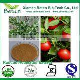 100% Natural Best Quality Ruscus Aculeatus P.E. thumbnail-1