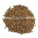 2014 High Quality Malt Extract From Tian Jiu thumbnail-1