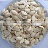 Inner Mogolia High Quality of Shine Skin Pumpkin Seed Factory for Buyers thumbnail-1