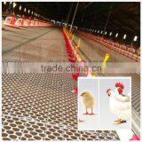 High Temperature Resistant Poultry Shed Flooring System thumbnail-3