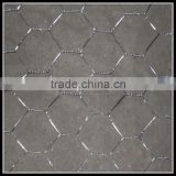 Galvanized Chicken wire mesh/Hexagonal wire netting( factory price )