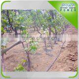 Agriculture Irrigation Drip Tape for Hungary thumbnail-3