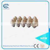 Hot Pressing Paper Egg Carton Pulp Molding Products thumbnail-1