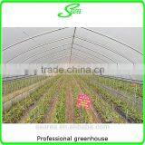 Greenhouse Project Cheap Commercial Agricultural Low Cost Greenhouse thumbnail-4