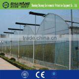 Commercial Glass Greenhouse Supply China Shuiwang thumbnail-2