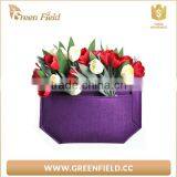 Hydroponics Plant Grow Bags Vertical Garden Grow Bags thumbnail-1