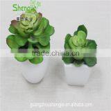SJLJ013384 Artificial Plant / Fake Plastic Succulent Plant for Office / Restaurant Decoration thumbnail-4
