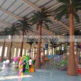Fiberglass Washingtonia Palm Tree for Amusement Park