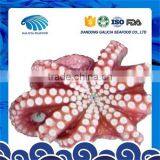 Frozen Names Octopus Vulgaris Seafood With Better Quality thumbnail-1