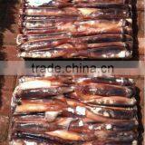 Frozen Illex Argentinus Squid thumbnail-1