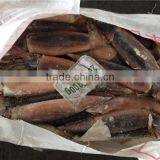 Frozen Illex Squid Every Size Available New Landing thumbnail-1