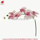 Real Touch Artificial Orchid Iris Flower for Indoor and Outdoor Decoration thumbnail-1