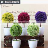 White Potted Evergreen Plants Table Centerpiece Tree thumbnail-6