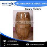 High Quality Fiberglass and Dried Banana Leaves Made Planters for Wholesale thumbnail-3
