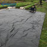 Black Plastic PP Ground Cover Mesh Mat for Greenhouse thumbnail-2