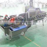 Industrial Automatic Vortex Fruit and Vegetable Washing Machine thumbnail-4