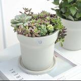 Snow Shovel thumbnail-4