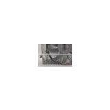 Electric Cooling Fan/ Radiator Fan Assembly 2205000193 for Mercedes W220 W215 thumbnail-3