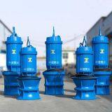 Pitshaft Axial- Flow Pump thumbnail-1