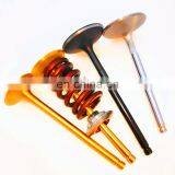 Racing Parts European Intake and Exhaust Engine Valves OEM 094882 094987 Springs Retainers For CITROEN Xsara VTS 16V XU10J4RS thumbnail-6