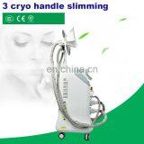 5 Handles Double Chin Fat Freezing Body Contoring Machine Cellulite Device thumbnail-5