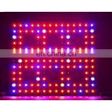 Growing Lamps LED Grow Light 3000W Full Spectrum Plant Lighting For Plants Flowers Seedling Cultivation thumbnail-3