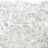 White Coral Gem Stone Slab thumbnail-1