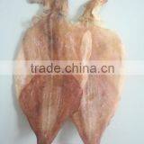 Dried Squid thumbnail-2