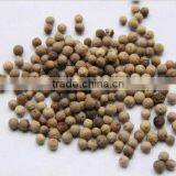 White Pepper, Fructus Piperis Alba,Food Seasoning thumbnail-1