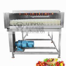 Industrial Brush Roller Fruit Washing Vegetable Washer Apple Fruit Washing Machine thumbnail-1