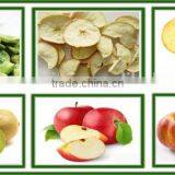 300kgs/h Automatic Mango Chips Crispy Vacuum Frying Machine thumbnail-4