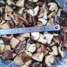 Shiitake in Brine, Quarter thumbnail-2