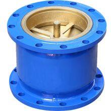 Manufacturer Direct Sales Vertical Flange Check Valve thumbnail-3