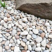Sandstone, Gravel & Pebble thumbnail-2