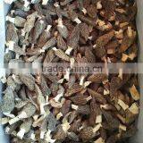 Wild Dried Fresh Morel Mushrooms With Stem 2CM