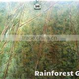 Rain Forest Green- Marble