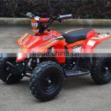 New Design 500w 800W36V 350W24V Electric Mini Atv