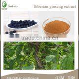 Natural Herb Siberian Ginseng Extract Powder Quality Choice thumbnail-3
