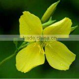 100% Natural Skin Care Evening Primrose Oil