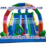2015 Commercial Giant Inflatable Water Lide With Dual Lanes, Inflatables SP-SL062