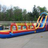 2015 Commercial Grade Inflatable Tropical Water Slide For Adult thumbnail-3