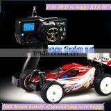 1/16 High-performance Electric Racing Buggy