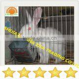 24 Rabbits Automatic Rabbit Breeding Cage Equipment in Kenya thumbnail-4