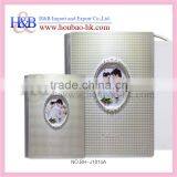 H&B Gobal Luxery 12*12 Crystal Aluminum Windows