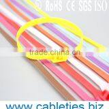 Double Lock Self-locking Plastic Zip Binding Ties Cable Ties Pa66 Nylon thumbnail-4