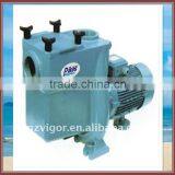Cast Iron Pump for the Swimming Pools,durable and High Quality thumbnail-1