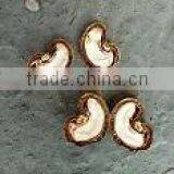 Cashew Nut thumbnail-3