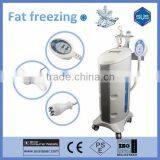 Body Shaping Machine/ Cool Slimming Machine/ Cool Tech Fat Freezing Machine thumbnail-2